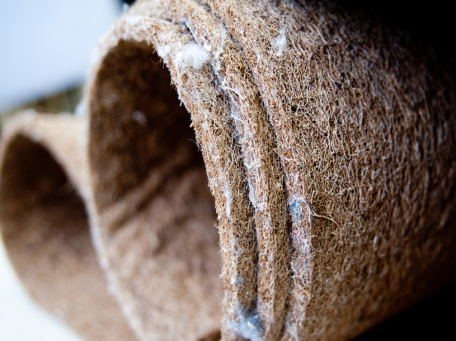 Fibre de coco latexée