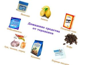 Remèdes populaires contre les cafards