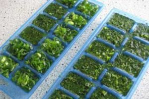 Assaisonnements congelés