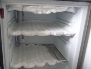 Manteau de glace au congélateur