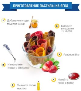 dans un séchoir à fruits, vous pouvez préparer des guimauves.