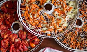 Comment bien sécher les légumes