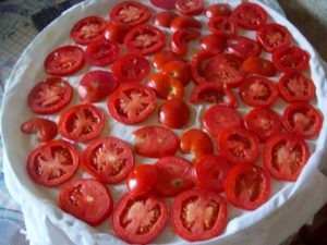 Quels légumes peuvent être séchés au sèche-linge ?