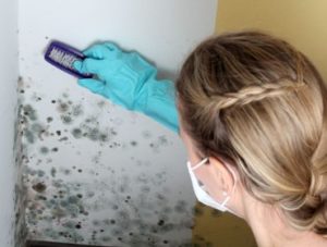 Combattre la moisissure.