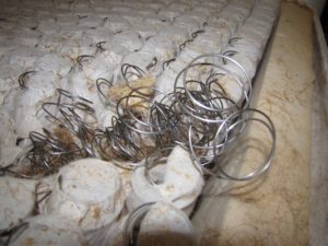 Le canapé grince et sa garantie est expirée.