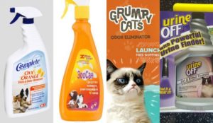 Produits spéciaux pour éliminer l'odeur d'urine de chat du canapé.