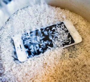 Le téléphone est placé dans du riz pour sécher.