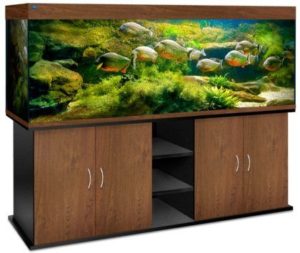Pourquoi avez-vous besoin d’une armoire spéciale pour un aquarium ?