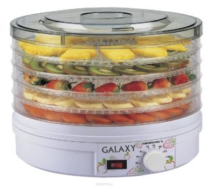 séchoir électrique pour légumes et fruits