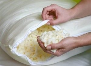 Débarrassez-vous des punaises de lit