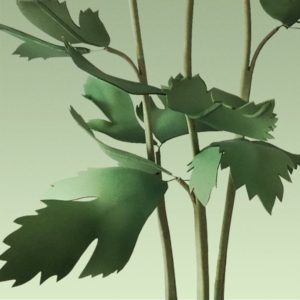 feuilles pour lampadaire rose