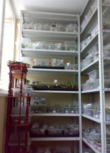 supports originaux pour balcons