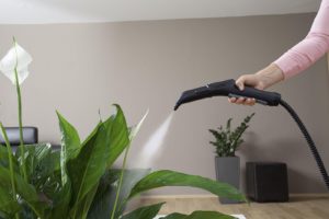 Entretien des plantes