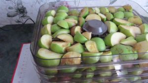 préparation de fruits