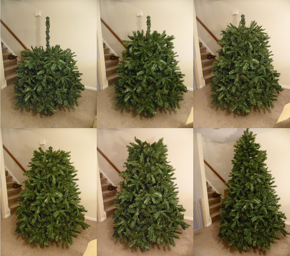 Assembler un sapin de Noël entier.