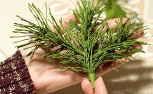 Processus de fabrication