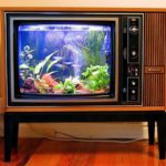 Aquarium DIY à partir d'un vieux téléviseur