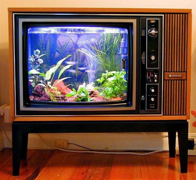 Aquarium DIY à partir d'un vieux téléviseur