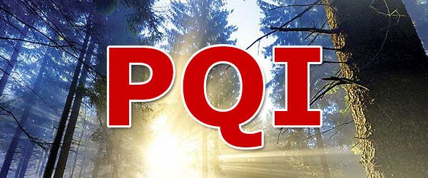 Qu'est-ce que l'IGP à la télévision.