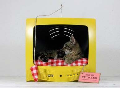 Maison de chat DIY à partir d'une vieille télé