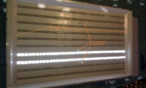 Remplacement des LED