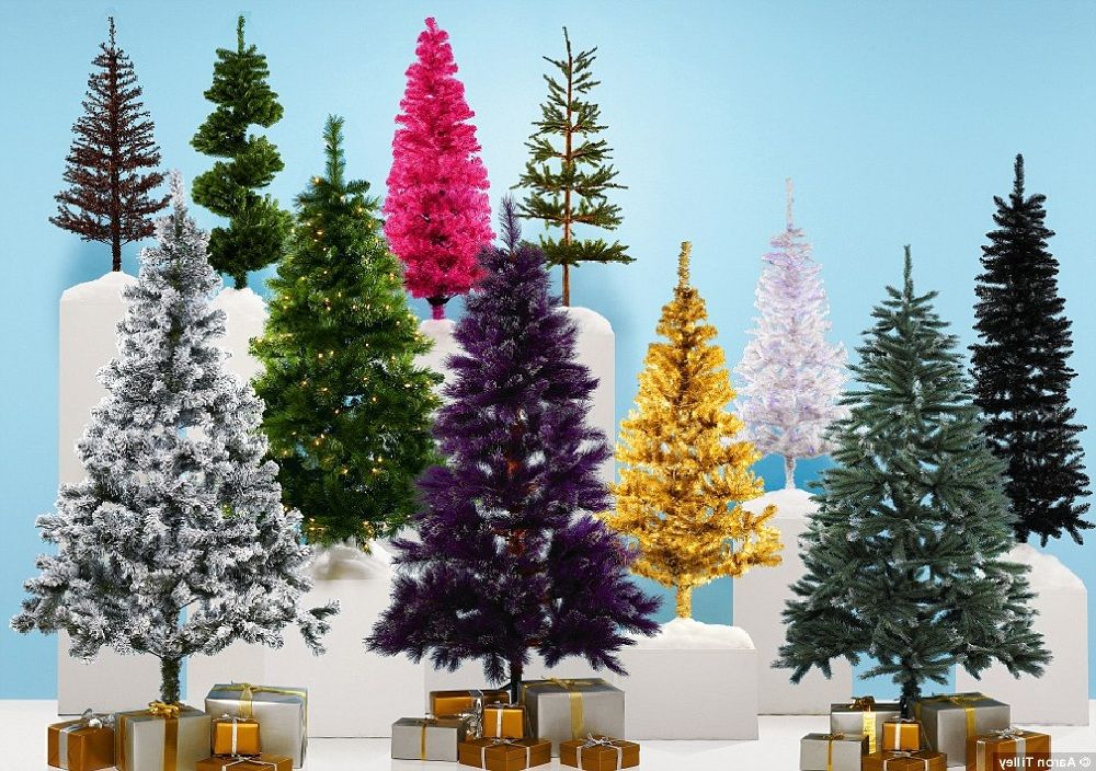 Couleur du sapin de Noël
