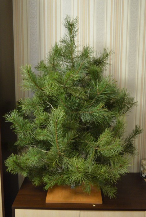 Arbre de Noël fait de branches 