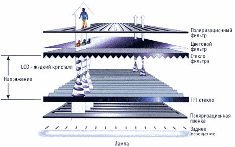 Écran à cristaux liquides (LCD).