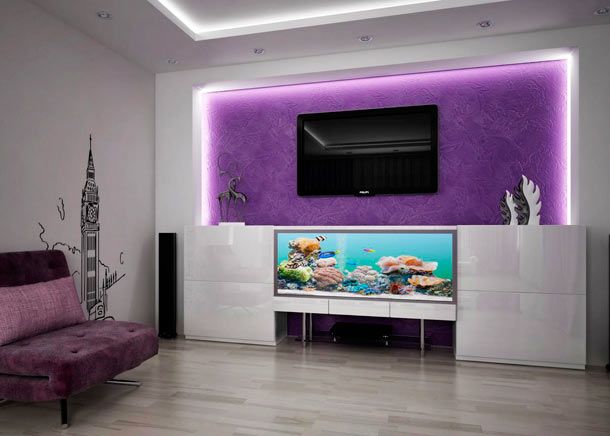Aquarium et télévision