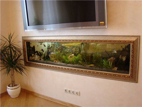 Aquarium et télévision