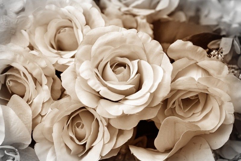 Papier peint photo 3D pour la chambre