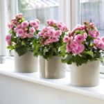 fleurs dans la chambre