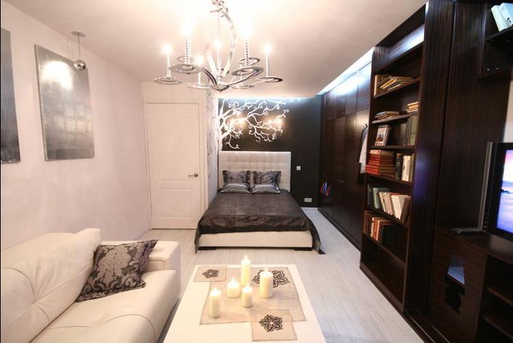 Séjour avec coin nuit.