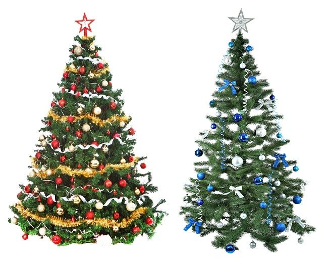 Sapin de Noël et pin