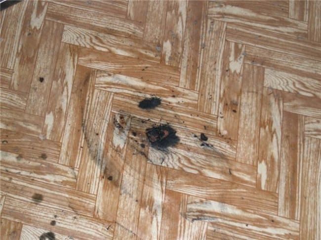 Essuyez la poignée du linoléum 