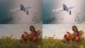 exigences de contenu