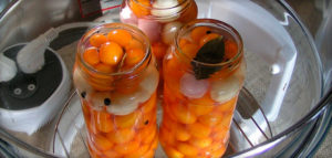 stérilisation des pots