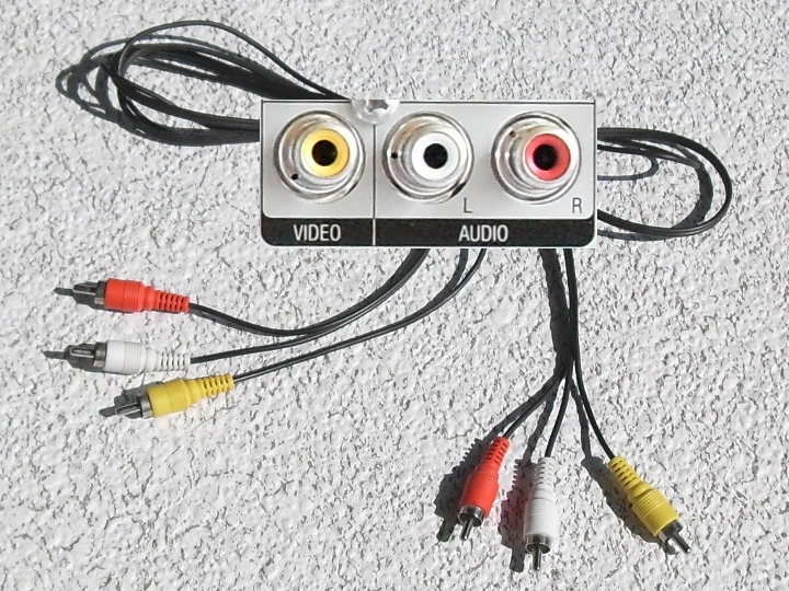 Tulipe en fil de fer.