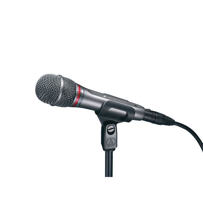 Microphone dynamique vocal.
