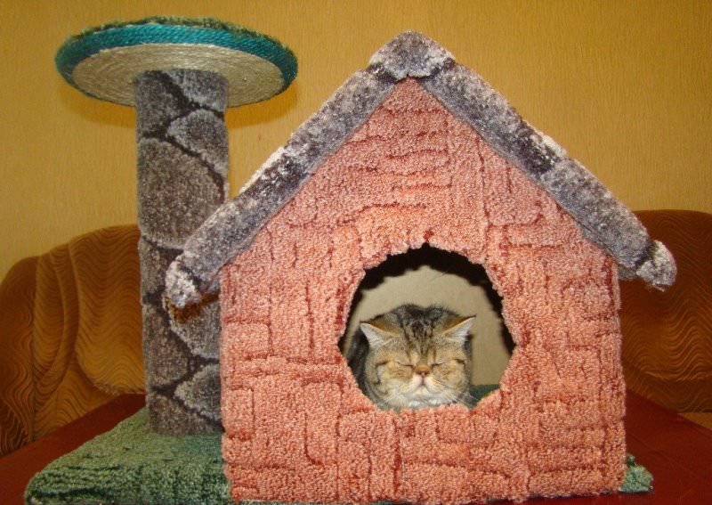 Option pour une maison pour chat en moquette avec un griffoir.