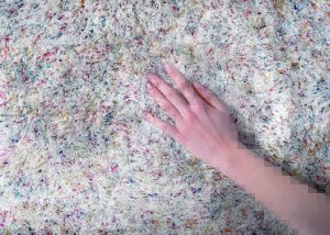 Comment soulever des poils sur un tapis