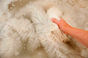 Comment laver un tapis