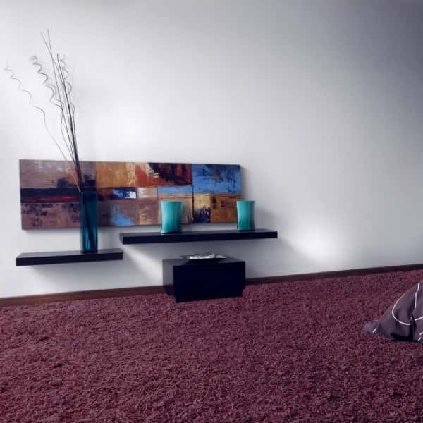 Tapis à l'intérieur