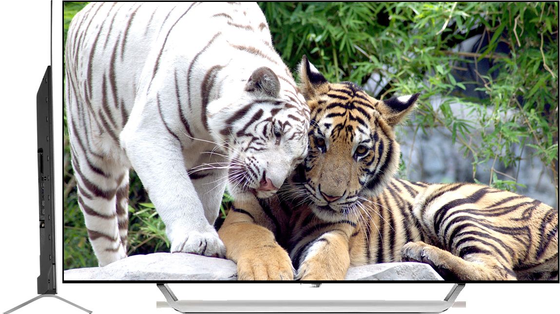 Luminosité et clarté des téléviseurs OLED et QLED.