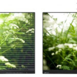 Cale de surveillance