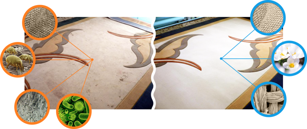 Le battage des tapis favorise un nettoyage en profondeur.