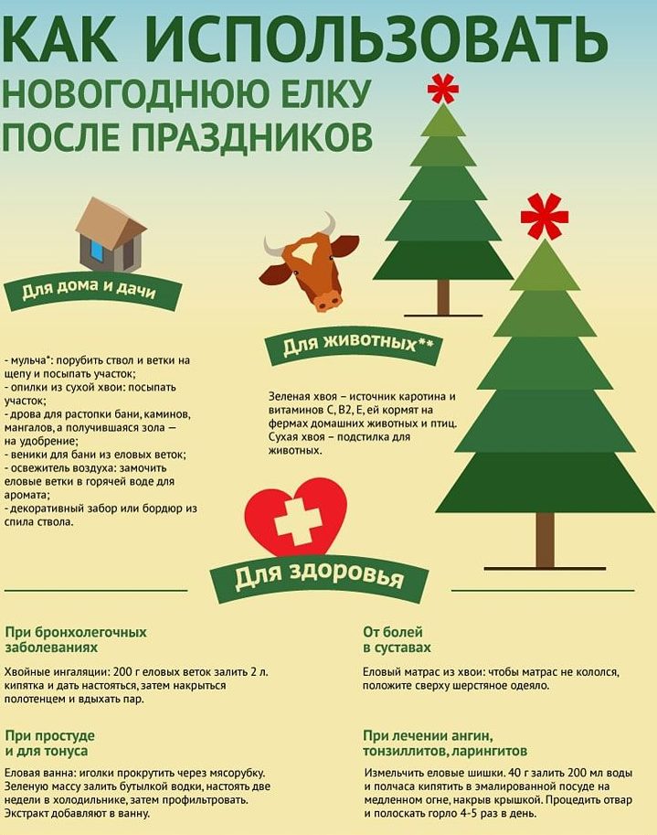 comment utiliser un sapin de Noël après le réveillon du Nouvel An