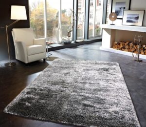 Moquette grise à l'intérieur