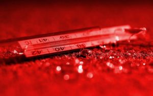 Comment récupérer le mercure d'un tapis