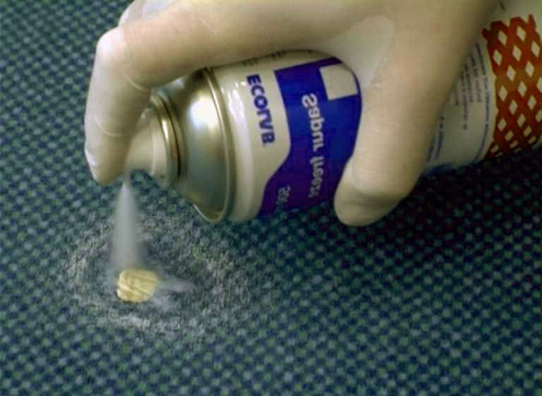 Du chewing-gum sur le tapis